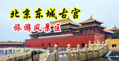 美女抠逼操逼视频免费中国北京-东城古宫旅游风景区